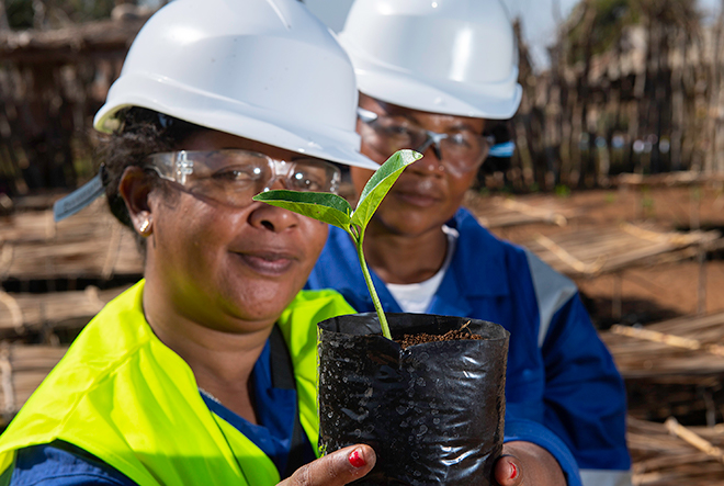 two workers holding a seedling