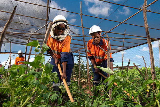 employees working in plant nursery