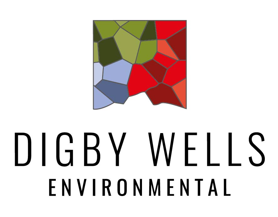 Digby Wells